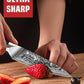 MOSFiATA Paring Knife, Super Sharp Damascus Fruit Knife, Multifunctional Peeling for Cutting Fruit Vegetables