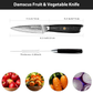 MOSFiATA Damascus Fruit Knife 4", Ultra Sharp Paring Knife, 67 Layers Damascus Steel VG10 Core Multipurpose Small Kitchen Knife Professional Peeling Knives, G10 Handle with Rivet Chef Gift