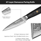 MOSFiATA Damascus Fruit Knife 4", Ultra Sharp Paring Knife, 67 Layers Damascus Steel VG10 Core Multipurpose Small Kitchen Knife Professional Peeling Knives, G10 Handle with Rivet Chef Gift