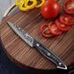 MOSFiATA Damascus Paring Knife 3.5 inch Fruit Knife with Gift BoX